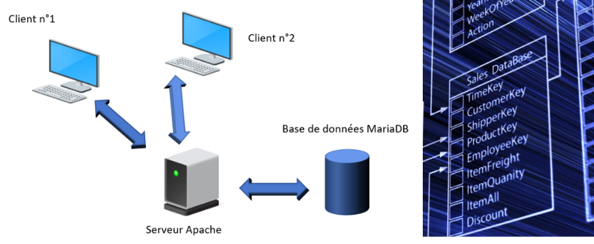 À quoi servent les bases de données ?