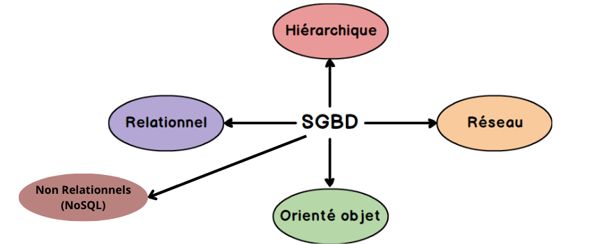 Les Différents Types de SGBD